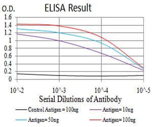 Monoclonal Mouse anti-Human MITF Antibody (clone 8F1G5, WB)