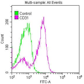 PECAM-1 / CD31 Antibody