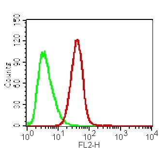 VISA / MAVS Antibody