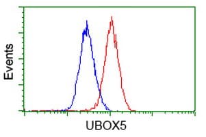 UBOX5 Antibody (clone OTI5A2)