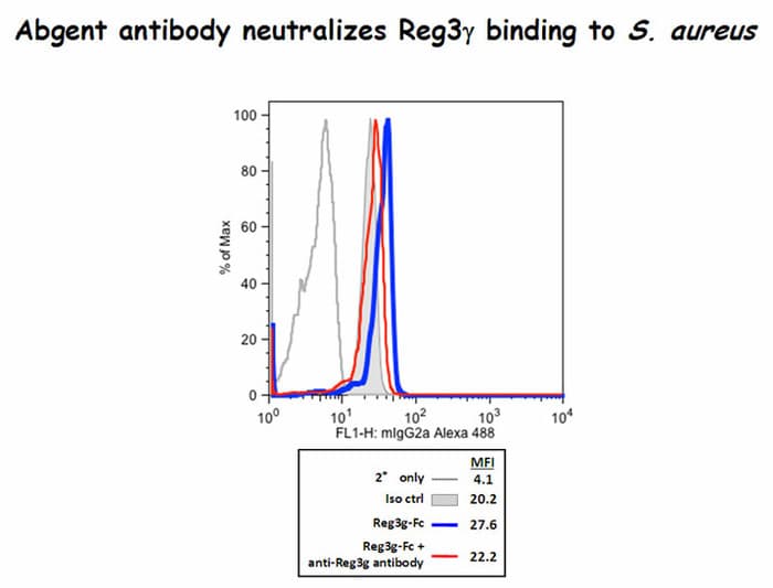 IHC-plus™ REG3G Antibody (aa89-116)