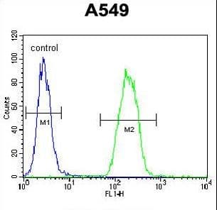 SNX24 Antibody (aa14-43)