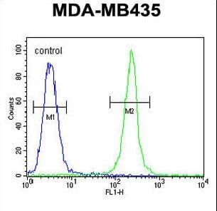 TRHDE Antibody (aa951-980)