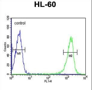 PSME1 Antibody (aa220-249)