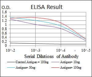 NQO1 Antibody (clone 1A11)