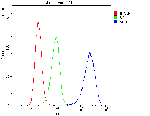 PARN Antibody