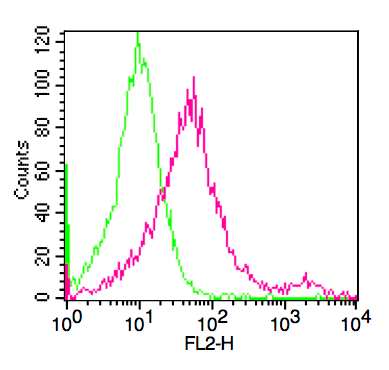 CD24 Antibody (clone 32D12)