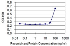 ETV3 Antibody (clone 1C11)