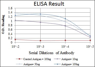 IHC-plus™ Monoclonal Mouse anti-Human HSP90AB1 / HSP90 Alpha B1 Antibody (clone 5G4, aa149-357, IHC, IF, WB)