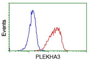 PLEKHA3 Antibody (clone OTI5D11, Carrier-free)
