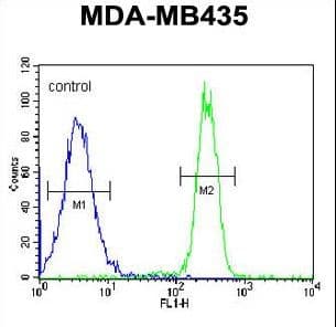 CCDC101 Antibody (aa179-208)