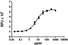 Mouse IL-1B / IL-1 Beta Protein (Recombinant)