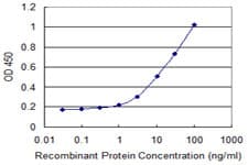 Monoclonal Mouse anti-Human NXF3 Antibody (clone 3A9, WB)