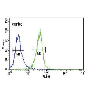 DNAJC6 Antibody (aa254-281)