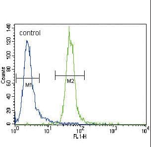 KMT2A / MLL Antibody (aa3879-3908)