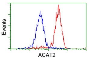 ACAT2 Antibody (clone OTI7B1)