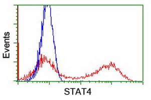 STAT4 Antibody (clone OTI3B6)