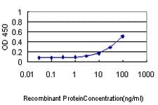 Monoclonal Mouse anti-Human EIF2S1 Antibody (clone 3H12-C11, IF, WB)