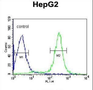 ITIH2 Antibody (aa858-886)