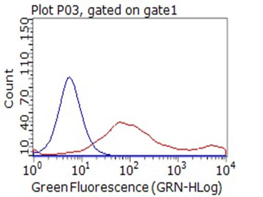 Monoclonal Mouse anti-Human CD80 Antibody (clone OTI8E9, aa35-242+Mouse, WB)