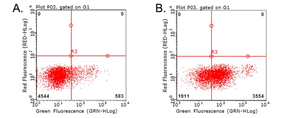 CD274 / B7-H1 / PD-L1 Antibody (clone OTI9E1)