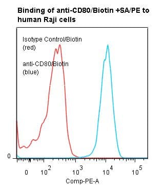 CD80 Antibody (clone P1.H5.A1.A1, Biotin)