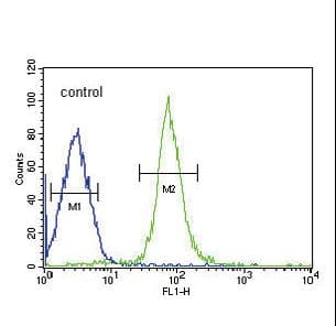 PathPlus™ HP / Haptoglobin Antibody (aa295-322)