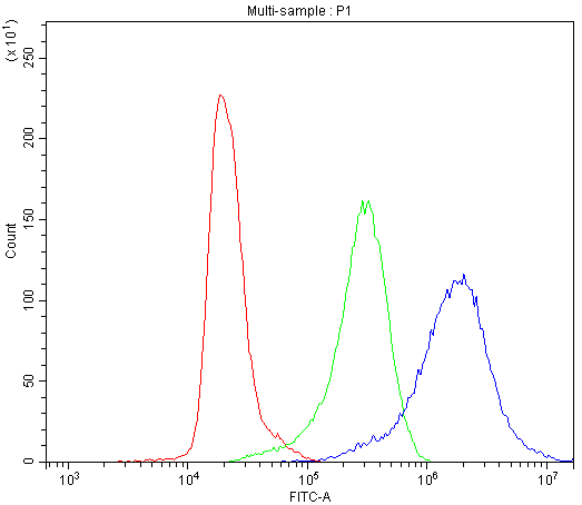 Polyclonal Rabbit anti-Human CCT3 Antibody (IHC, WB)