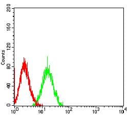 Monoclonal Mouse anti-Human SIRPG Antibody (clone 4F8C10, WB)