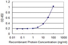 RPS9 / Ribosomal Protein S9 Antibody (clone 2D3)