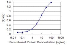 Monoclonal Mouse anti-Human PEA3 / ETV4 Antibody (clone 3G9-1B9, WB)