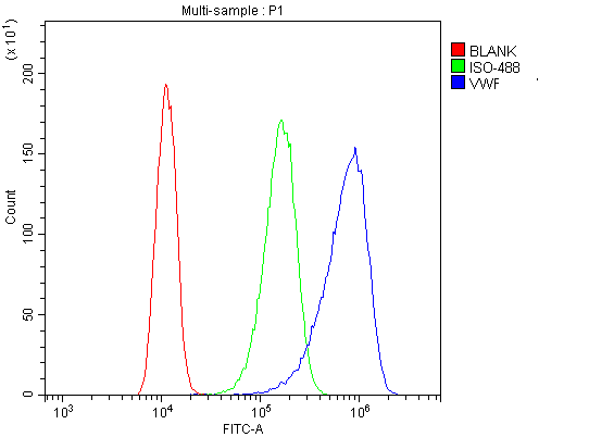 VWF / Von Willebrand Factor Antibody (aa2535-2813)