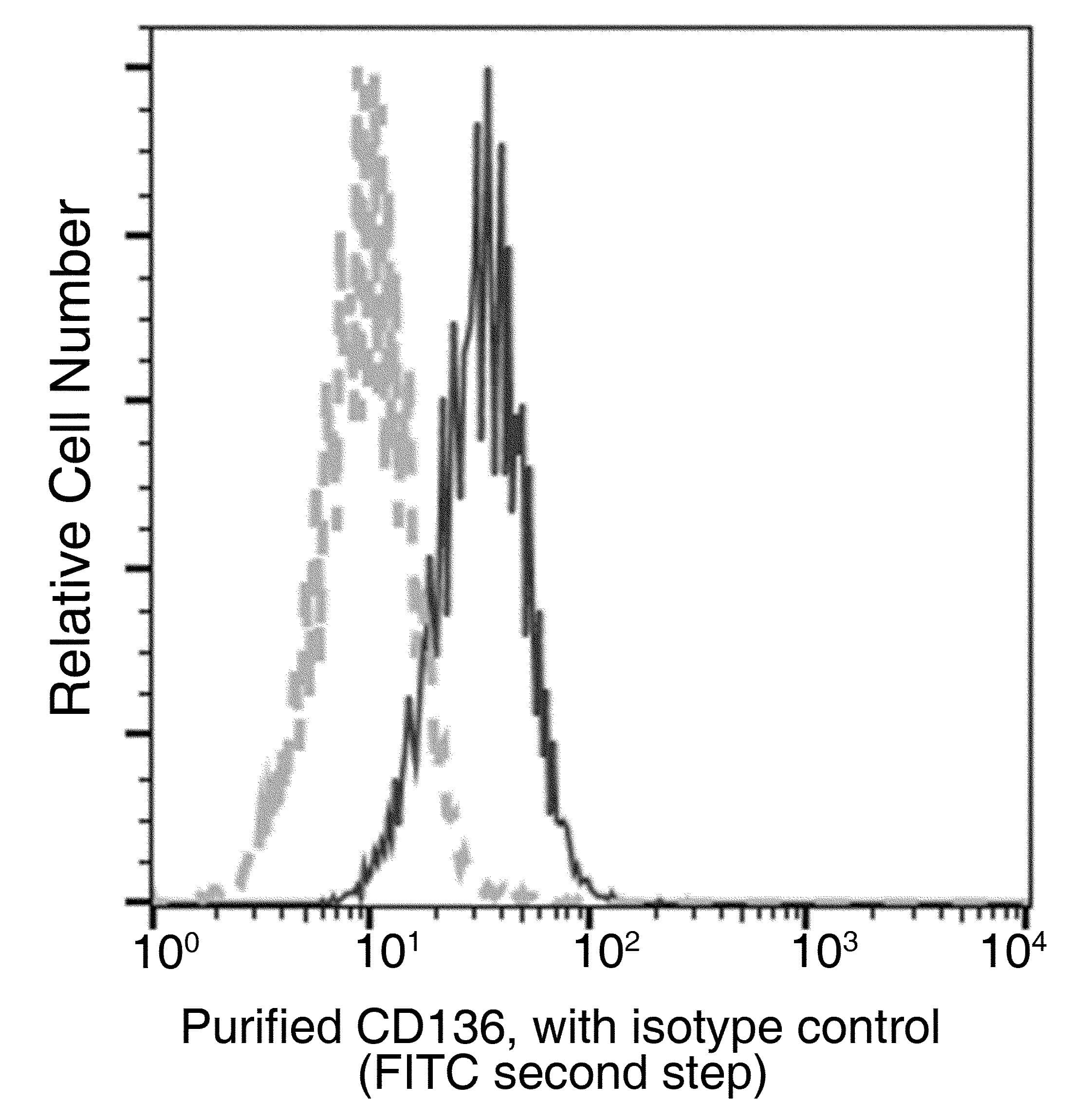 MST1R / RON Antibody (clone 03, Preservative Free)