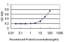 AADAC Antibody (clone 2E8)