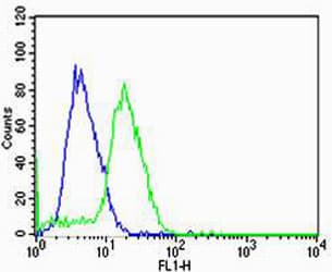 Polyclonal Rabbit anti-Human HBG2 / Hemoglobin Gamma 2 Antibody (aa101-133, WB)