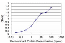 BOULE / BOLL Antibody (clone 2E8)