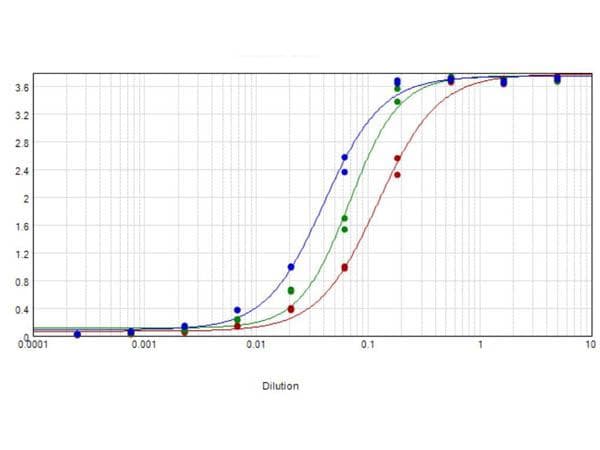 Rabbit Anti-Horse IgG Secondary Antibody (AP)