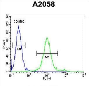 Polyclonal Rabbit anti-Human GOLT1A Antibody (aa103-130, WB)