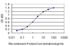 HOXA11 Antibody (clone 8B8)