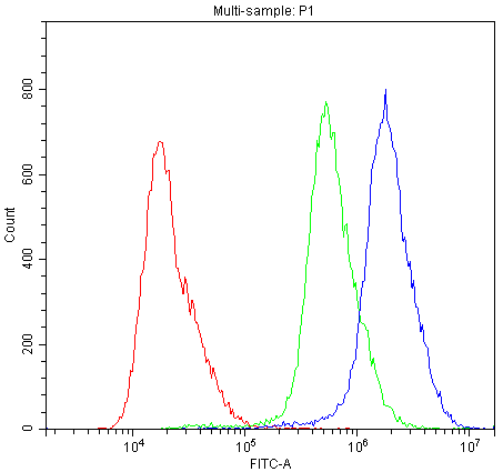 ABCB11 / BSEP Antibody
