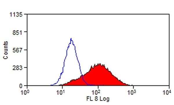 HAVCR1 / KIM-1 Antibody (clone RMT1-10, RPE)
