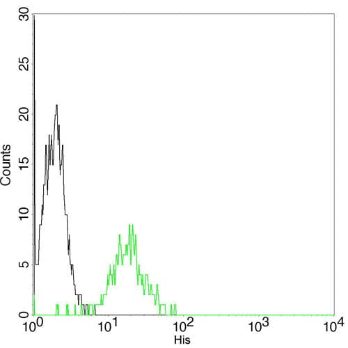His Tag Antibody (clone 6G2A9)