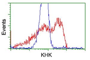 KHK / Ketohexokinase Antibody (clone OTI3D1)
