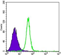 HK2 / Hexokinase 2 Antibody (clone 3D3)