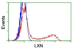 Latexin / MUM Antibody (clone OTI1E10)