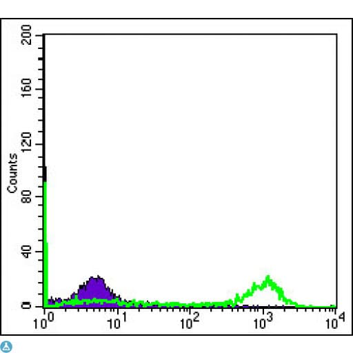 EIF4E Antibody