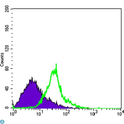 WNT1 Antibody
