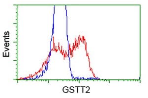 GSTT2 Antibody (clone OTI7A12)