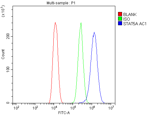 STAT5A Antibody (aa735-751)
