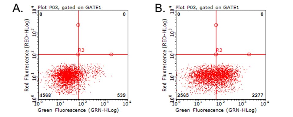 HAVCR2 / TIM-3 Antibody (clone OTI7B10)